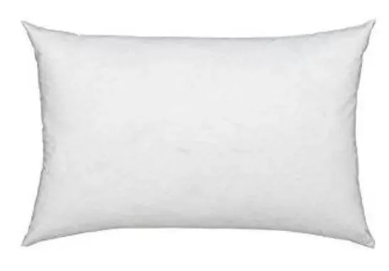 16x24 or 24x16 | Indoor Outdoor Hypoallergenic Polyester Pillow Insert | Quality Insert | Insert for Pillow | Throw Pillow Insert | Pillow Form