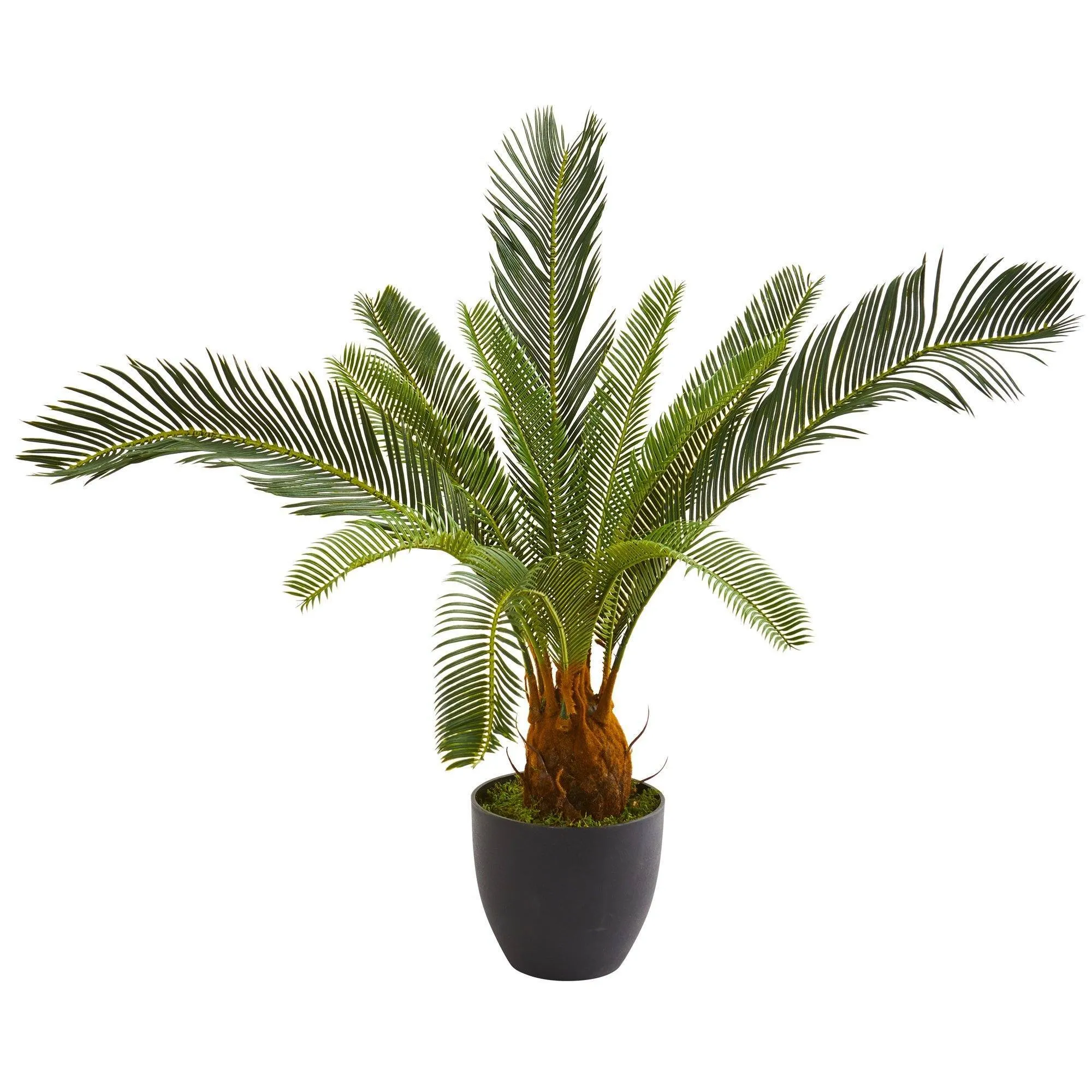 32” Cycas Artificial Plant