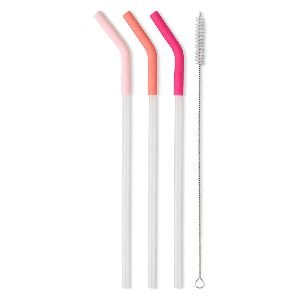 Blush/Coral/Hot Pink Reusable Straw Set Mega Mugs