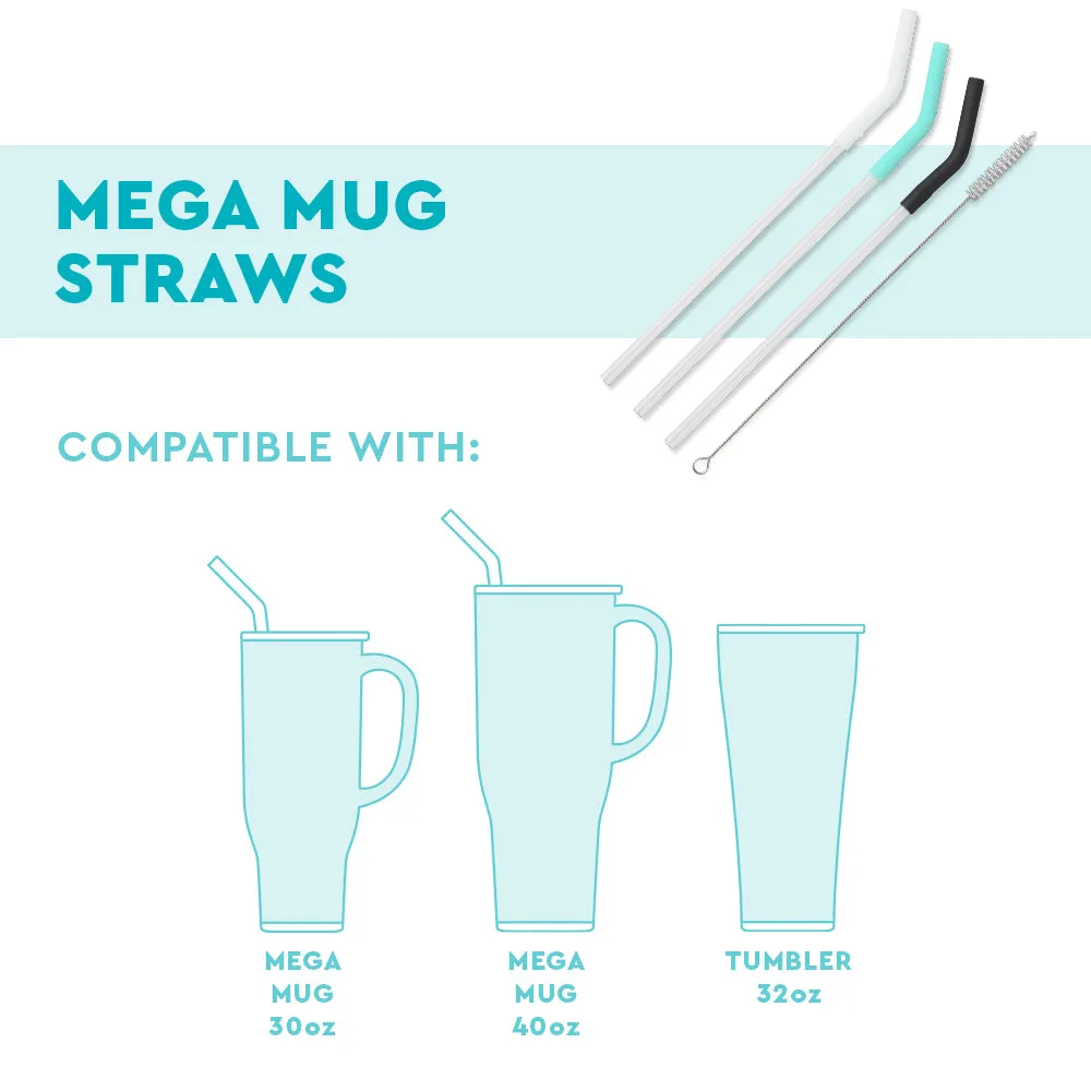 Blush/Coral/Hot Pink Reusable Straw Set Mega Mugs