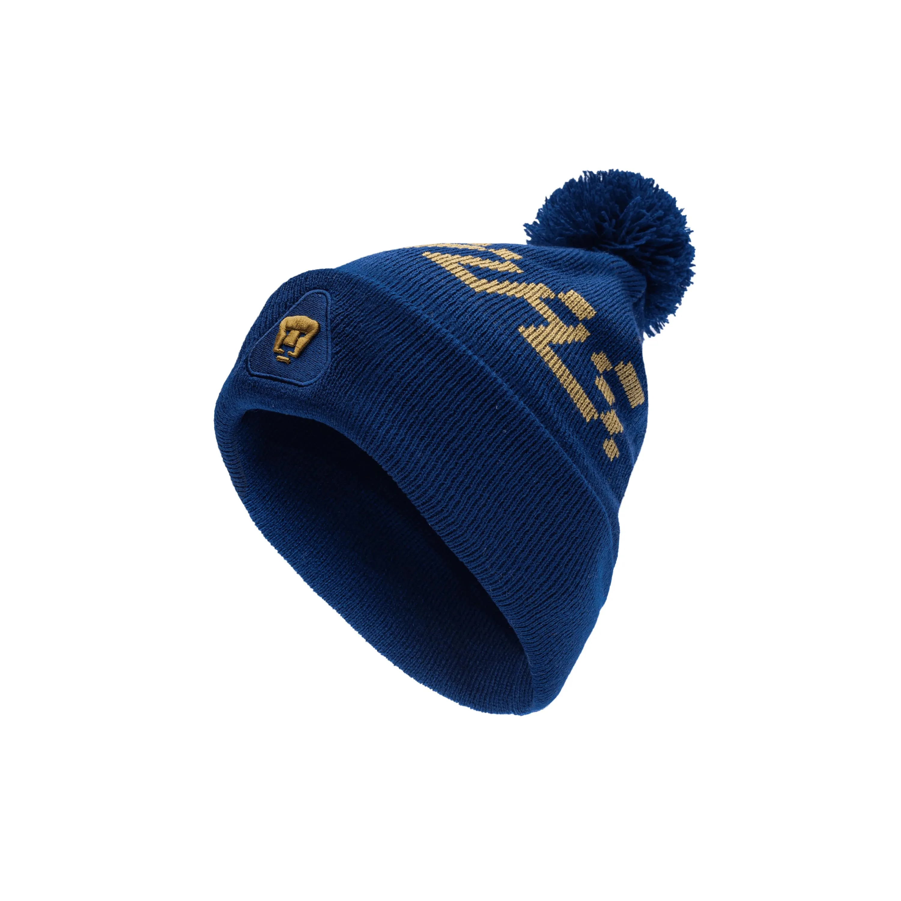 FAN INK UNAM Pumas Pixel Beanie