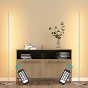 LED Corner Modern Floor Lamp with Remote Set of 2-HFLCB2C