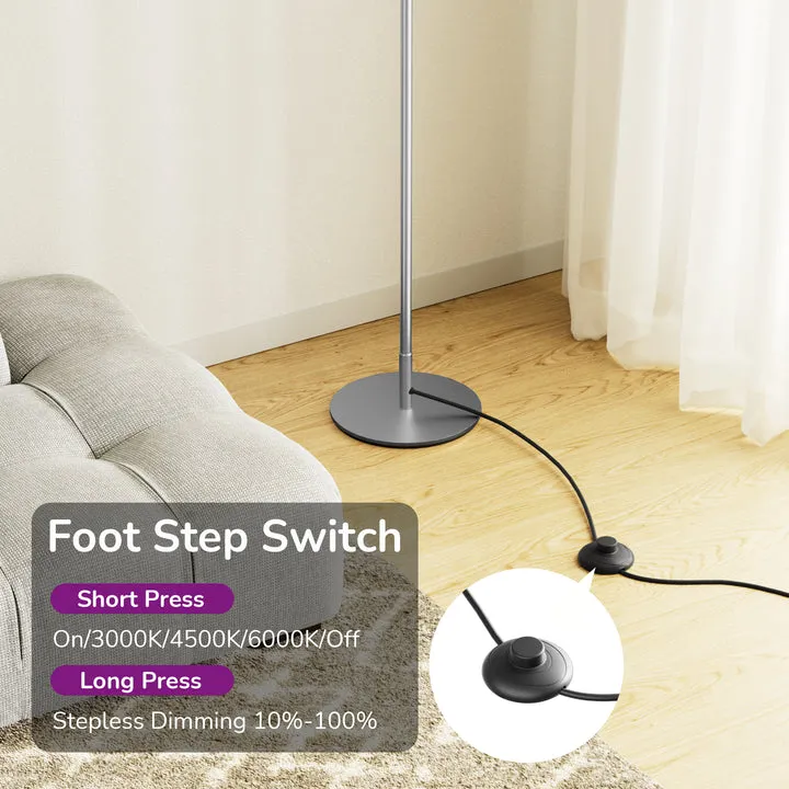 LED Corner Modern Floor Lamp with Remote Set of 2-HFLCB2C