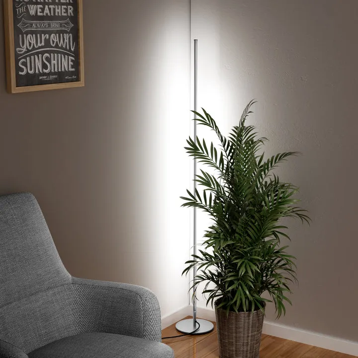 LED Corner Modern Floor Lamp with Remote Set of 2-HFLCB2C