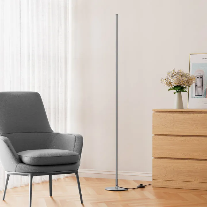 LED Corner Modern Floor Lamp with Remote Set of 2-HFLCB2C