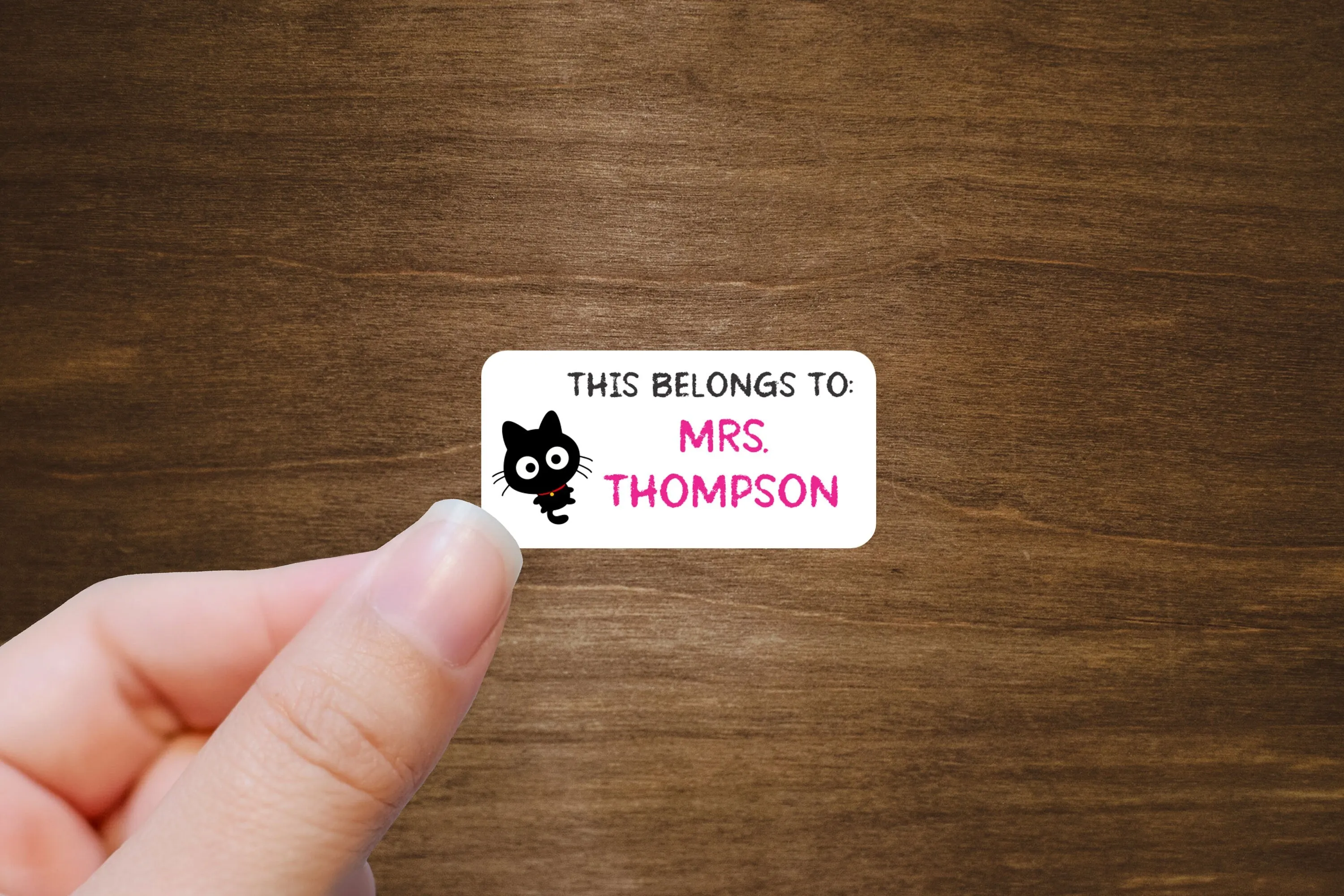 Teacher Labels  with Cats |  2" x 1" Stickers | Personalized Stickers | Custom Labels On A Roll